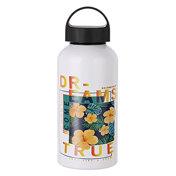 17 oz  Aluminum Water Bottle with Handle Thumbnail