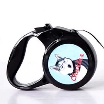 Small Retractable Pet Leash Thumbnail